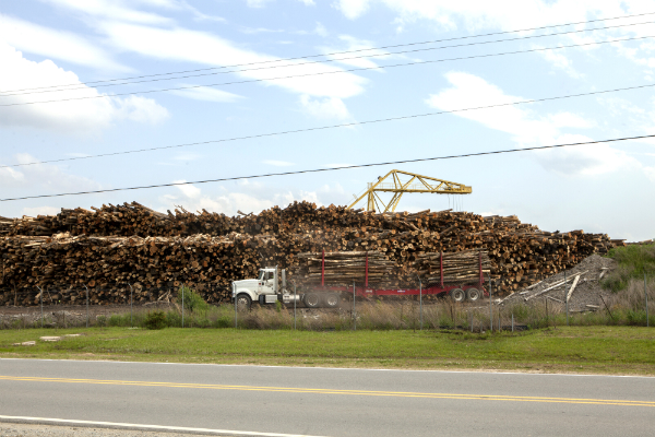 Logging truck loaded with trees drives inside the Enviva Ahoskie facility. Trucks just like these enter the pellet facility at estimated rates of 10-25 trucks per hour. 