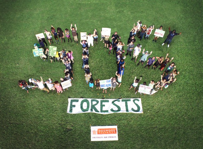 Community members form a giant human SOS banner at a tour event in Savannah, Georgia. 