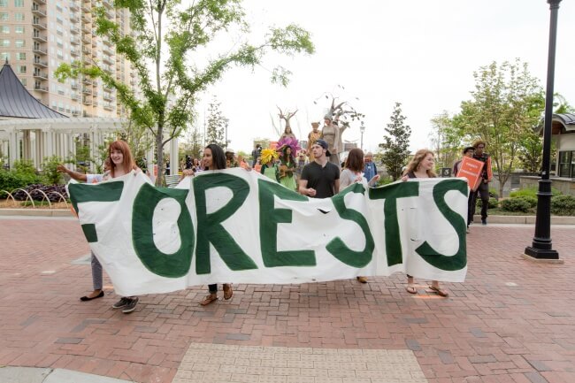 The pressure on the biomass industry to stop clearcutting forests is increasing