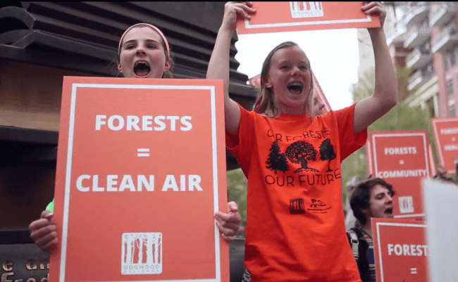 Stand for Forests rally in Charlotte