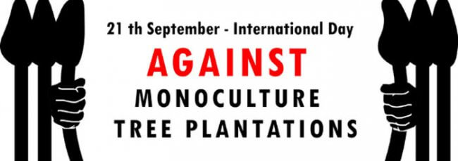 International Day of Struggle against Monoculture Tree Plantations