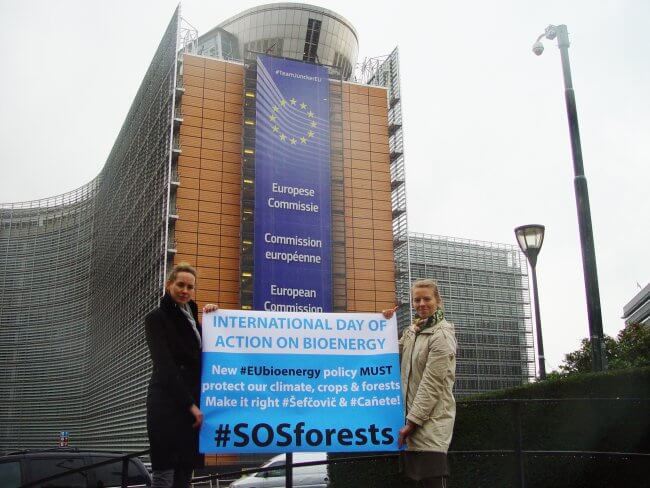 Campaigners from Birdlife International and Fern deliver a "live" tweet to the European Commission on the International Day of Action on Bioenergy