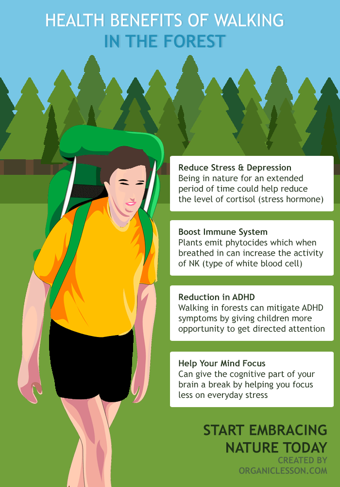 health-benefits-walking-in-forest