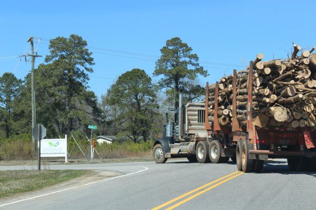Logging truck loaded drives around a corner toward the Enviva facility, in front of a sign that says Enviva Northampton