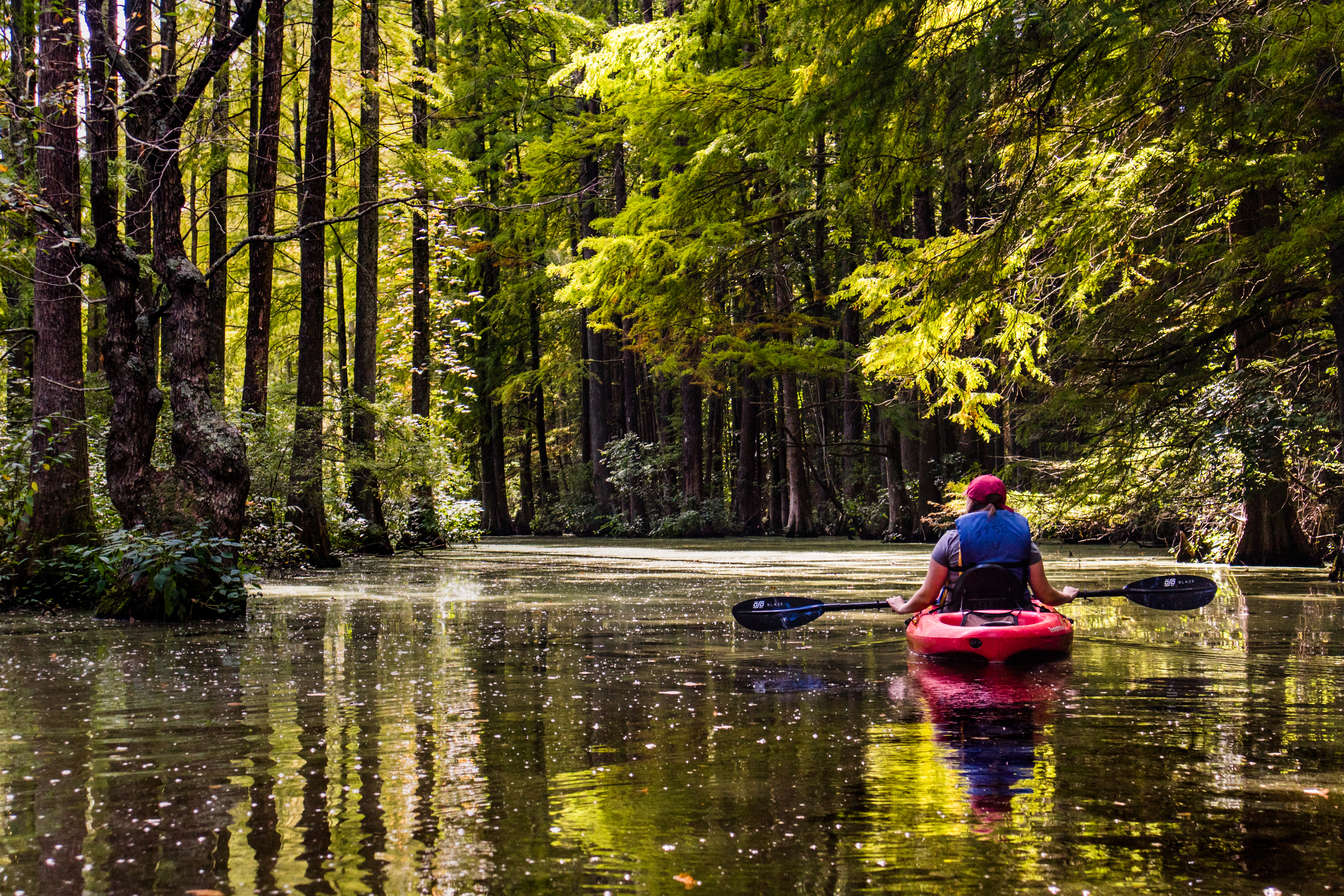 Photo of kayaking in wetlands