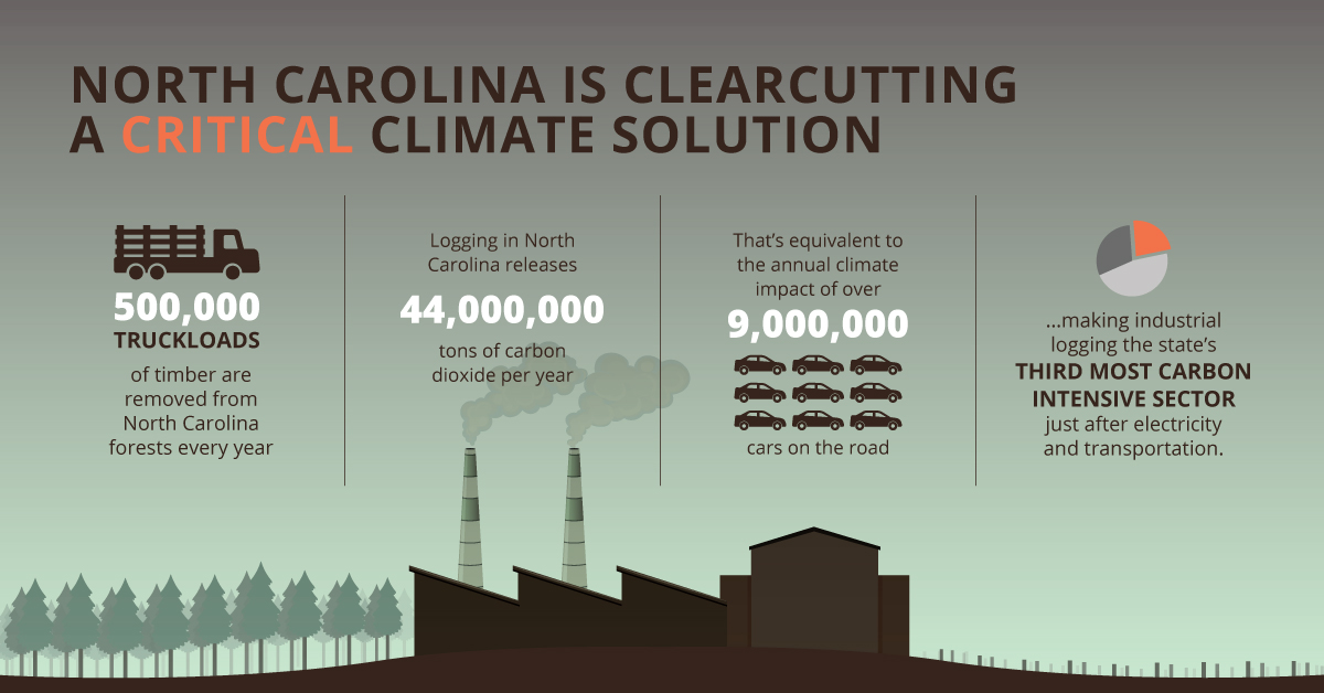 Infographic that shows the climate impact of industrial logging in NC. Reads: North Carolina is Clearcutting a Critical Climate Solution. 500,000 truckloads of timber are removed from North Carolina forests every year. Logging in North Carolian releases 44 million tons of carbon dioxide per year. That's equivalent to the annual climate impact of over 9 million cars on the road, making industrial logging the state's third most carbon intensive sector, just after electricity and transportation.