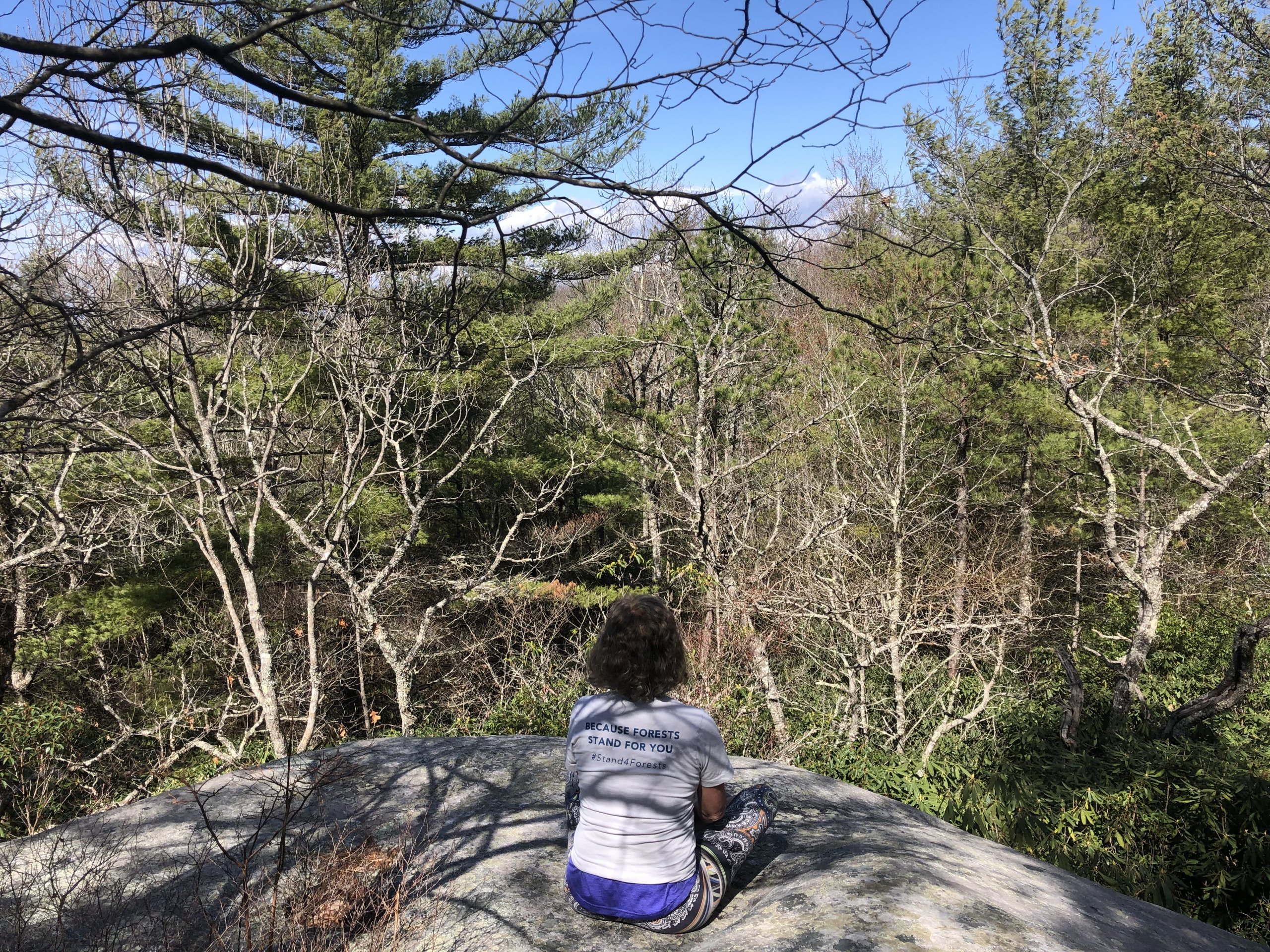 woman on rock overlooking forest international day of forests