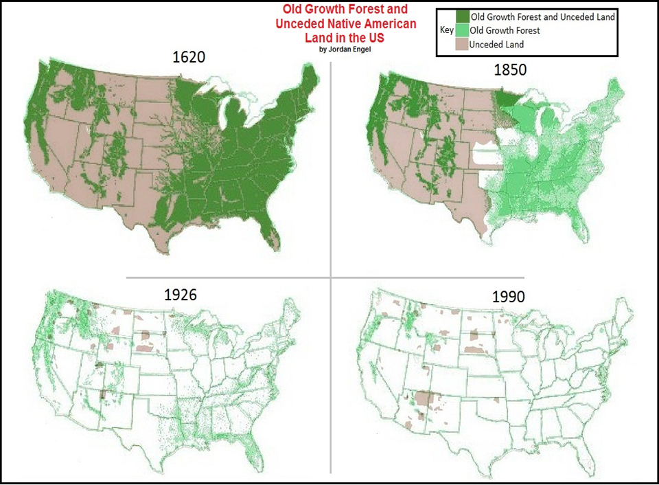 Old Growth from 1620 to 1990
