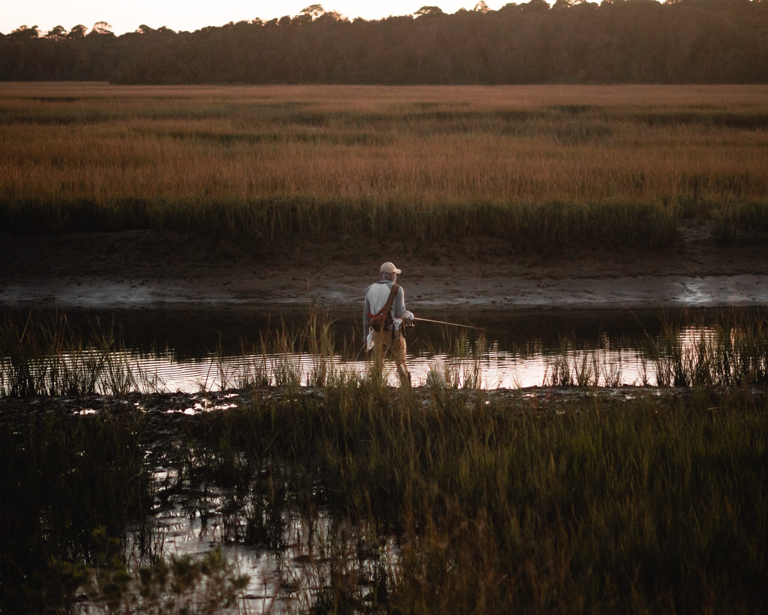 a man fishing in a swamp