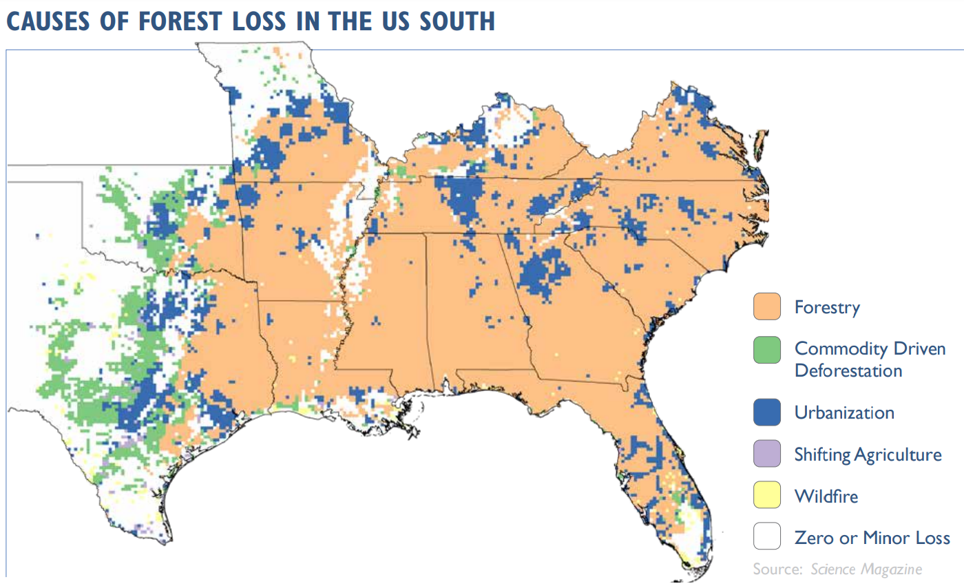 a map showing the main cause of forest loss in the US South - forestry
