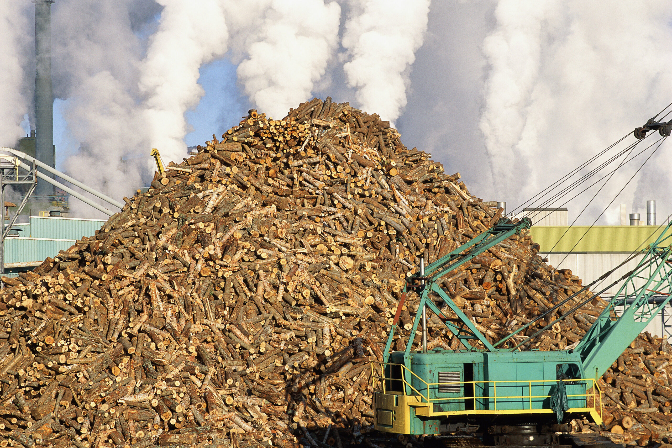 paper-mill-forest-industry-sfi-greenwashing