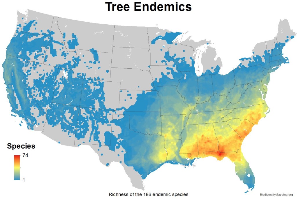 tree species diversity in the US