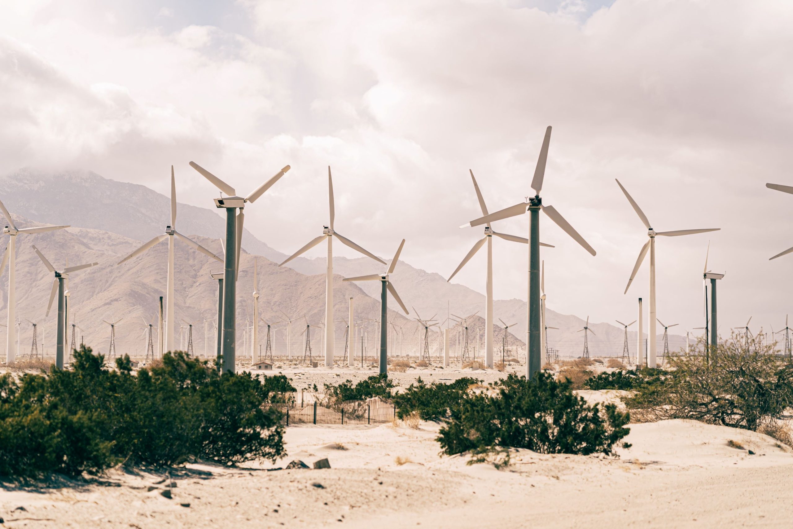 windmills are a renewable energy source for climate mitigation
