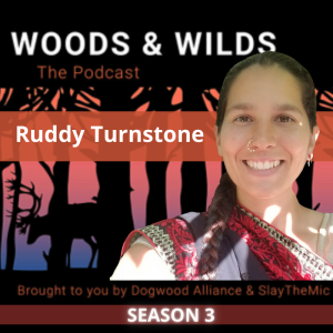 ruddy-turnstone-woods-and-wilds-podcast