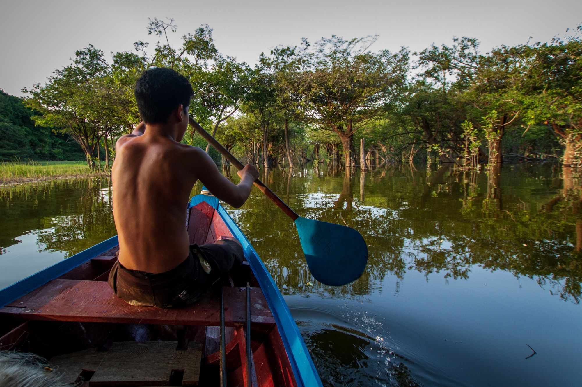 an indigenous boy paddling in a swamp on a canoe