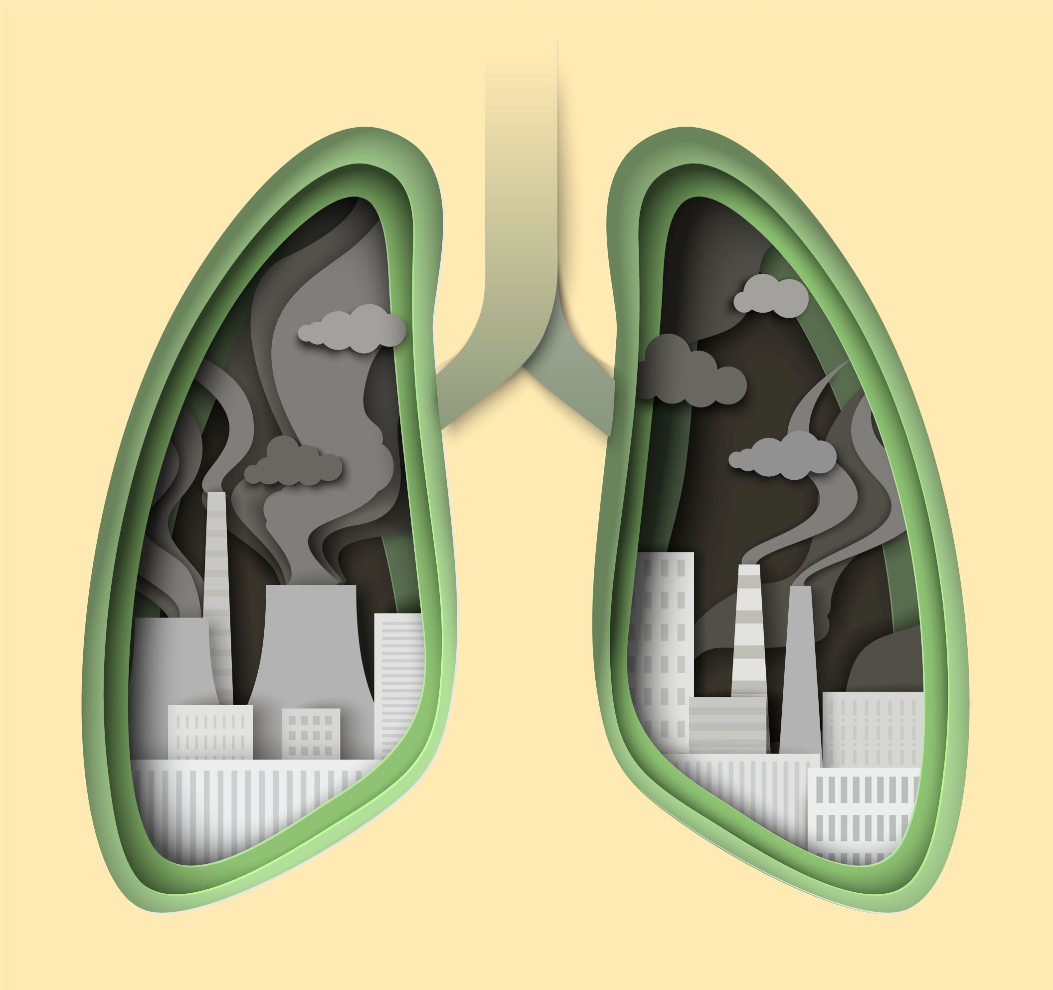 air-pollution-biomass-health-risk